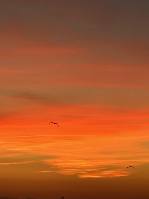 IMG_5632